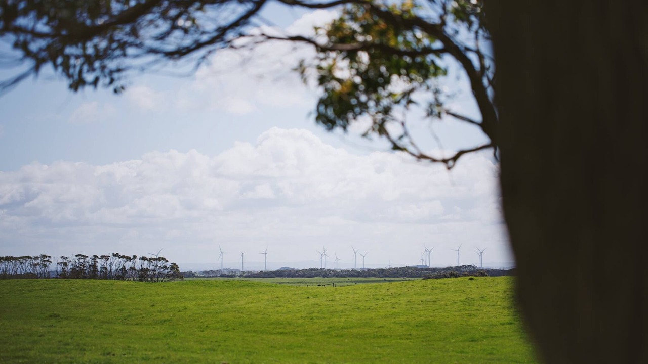 Photo of Patio Balcony in Walkerville
