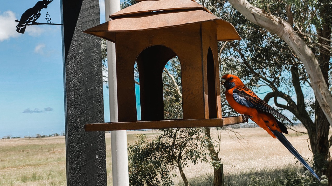 Photo of Others in Walkerville