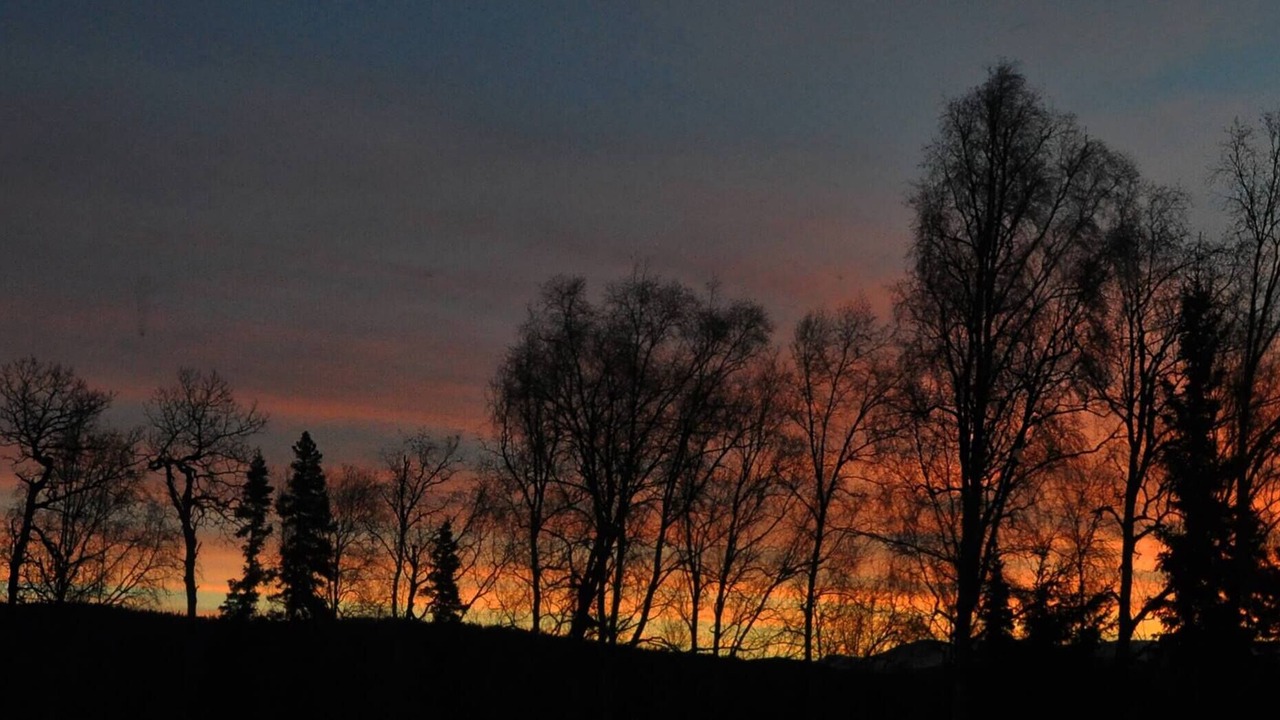 Photo of Others in Talkeetna