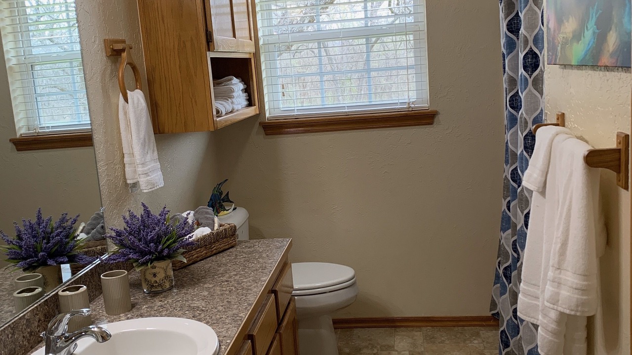 Photo of Bathroom in Davis