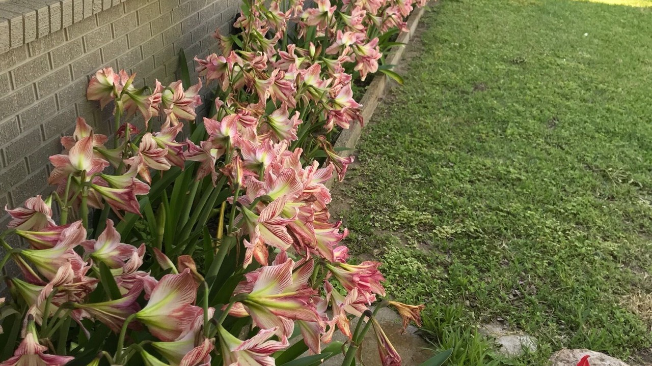 Photo of Outdoor in Chappell Hill