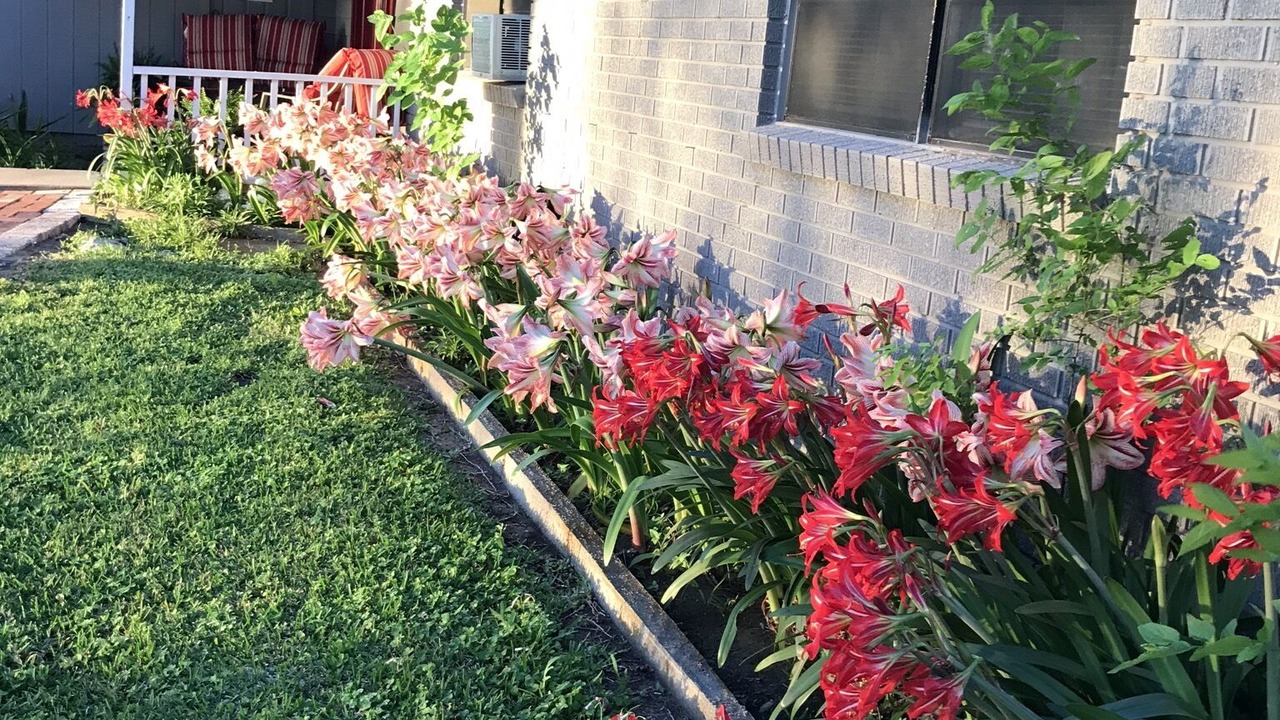 Photo of Outdoor in Chappell Hill