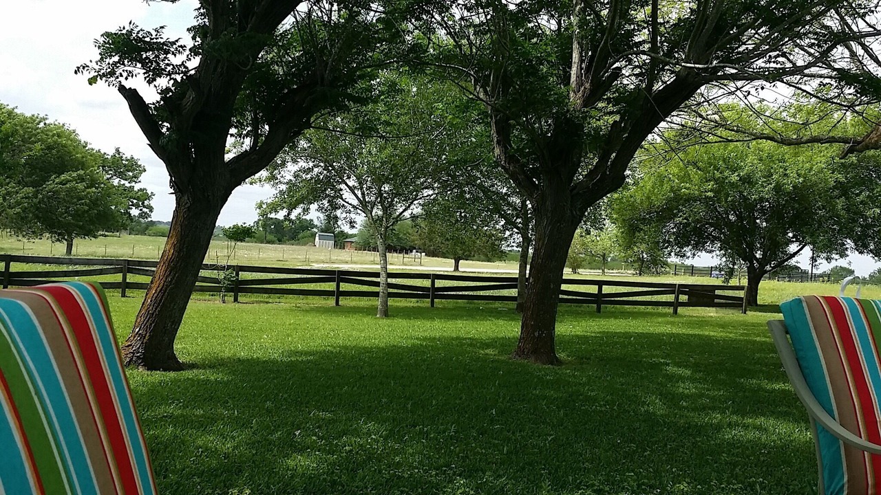 Photo of Outdoor in Chappell Hill