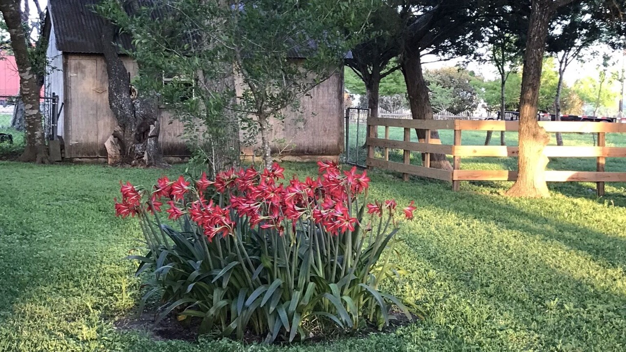 Photo of Outdoor in Chappell Hill