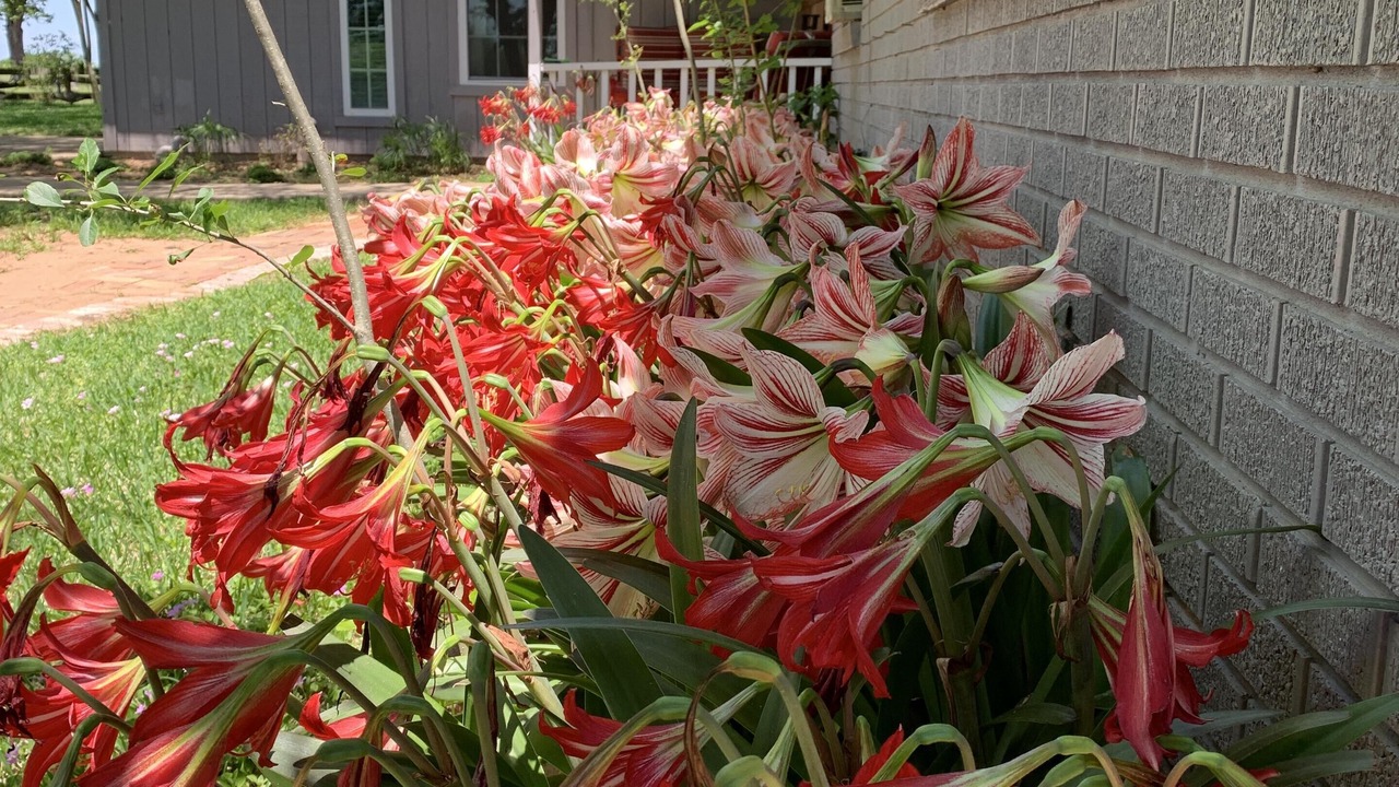 Photo of Outdoor in Chappell Hill