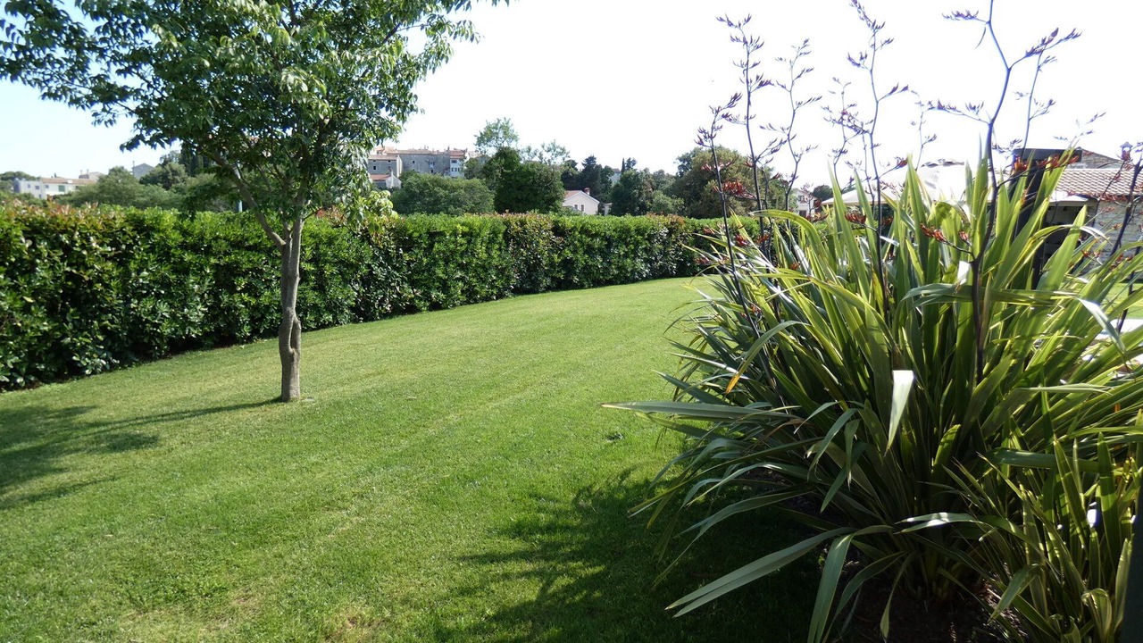 Photo of Outdoor in Bale