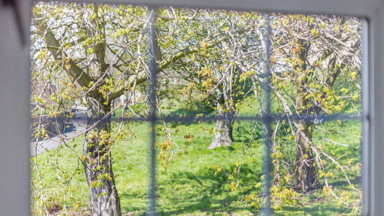 Photo of Others in Haltwhistle