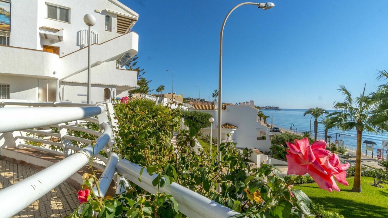 Photo of Others in Dehesa de Campoamor