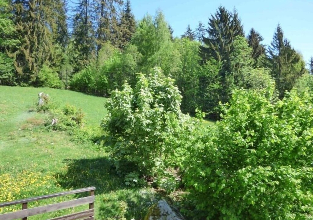 Photo of Outdoor in Demi-Quartier