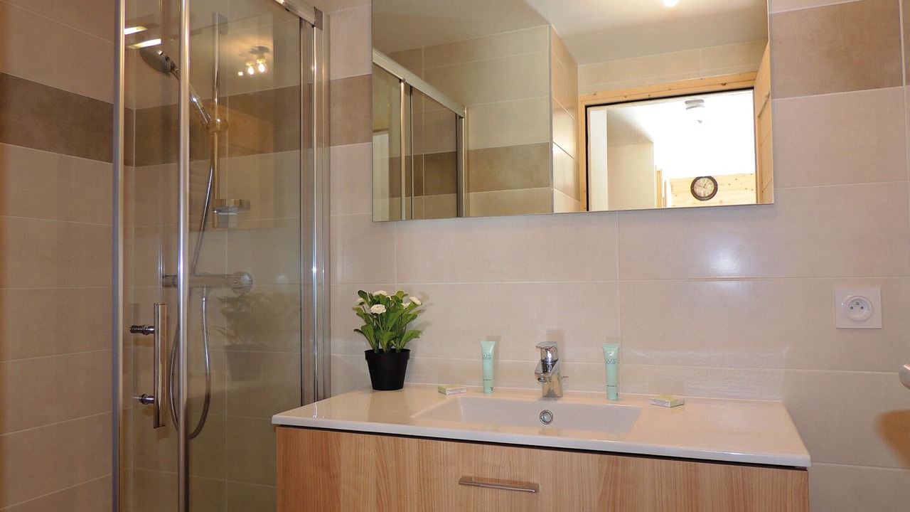 Photo of Bathroom in Les Gets