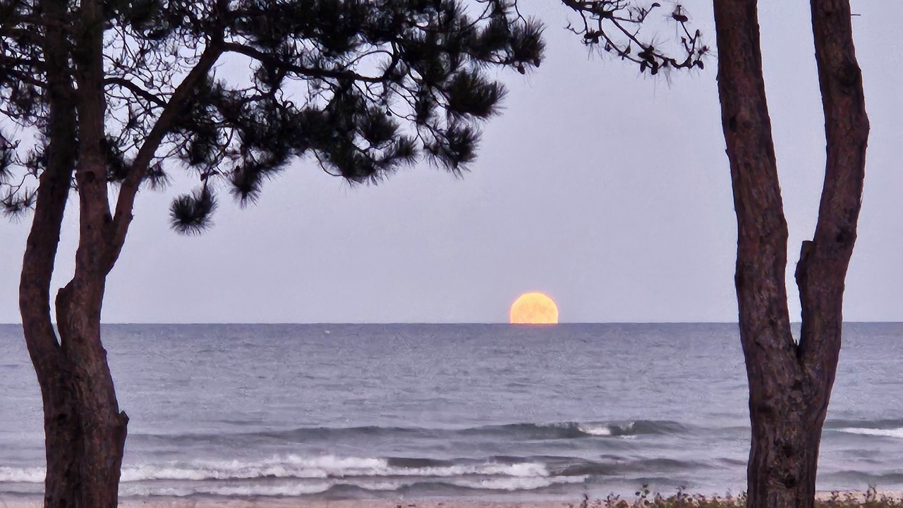Photo of Others in Oscoda