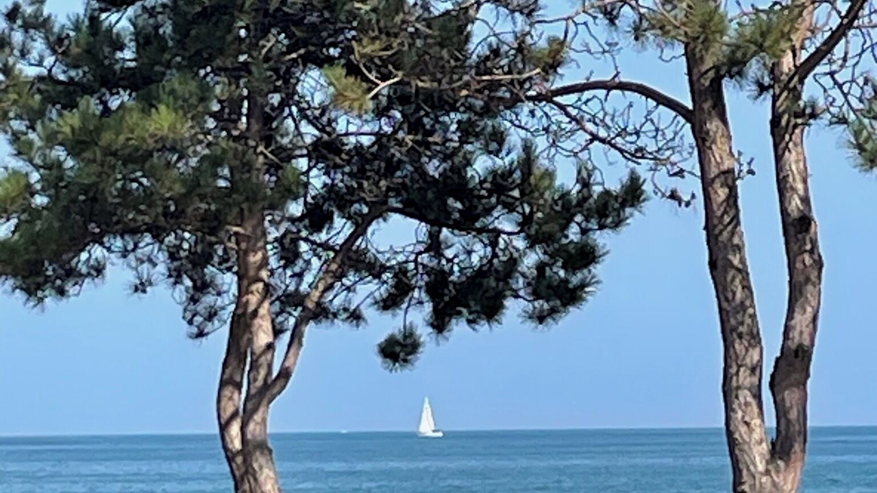Photo of Others in Oscoda