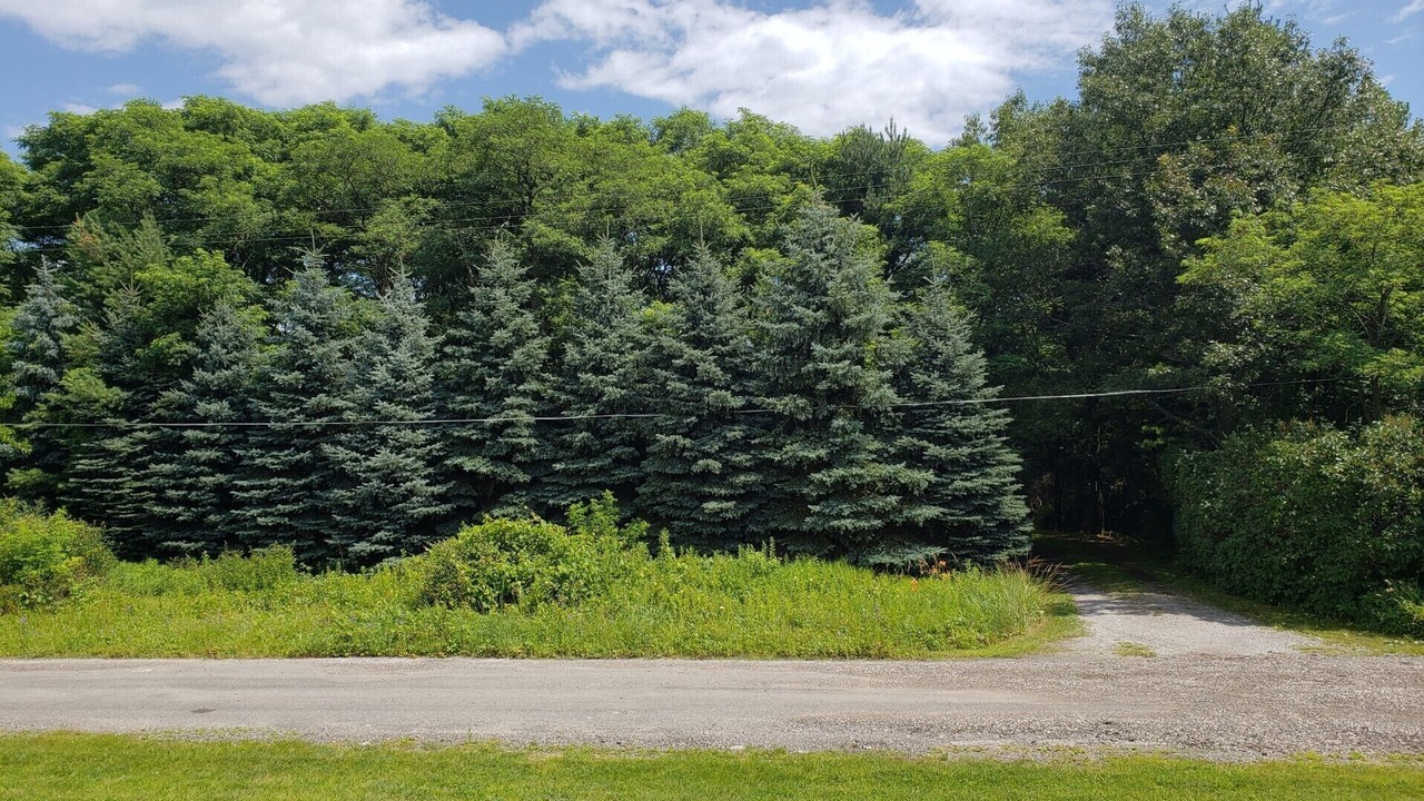Photo of Outdoor in Oscoda