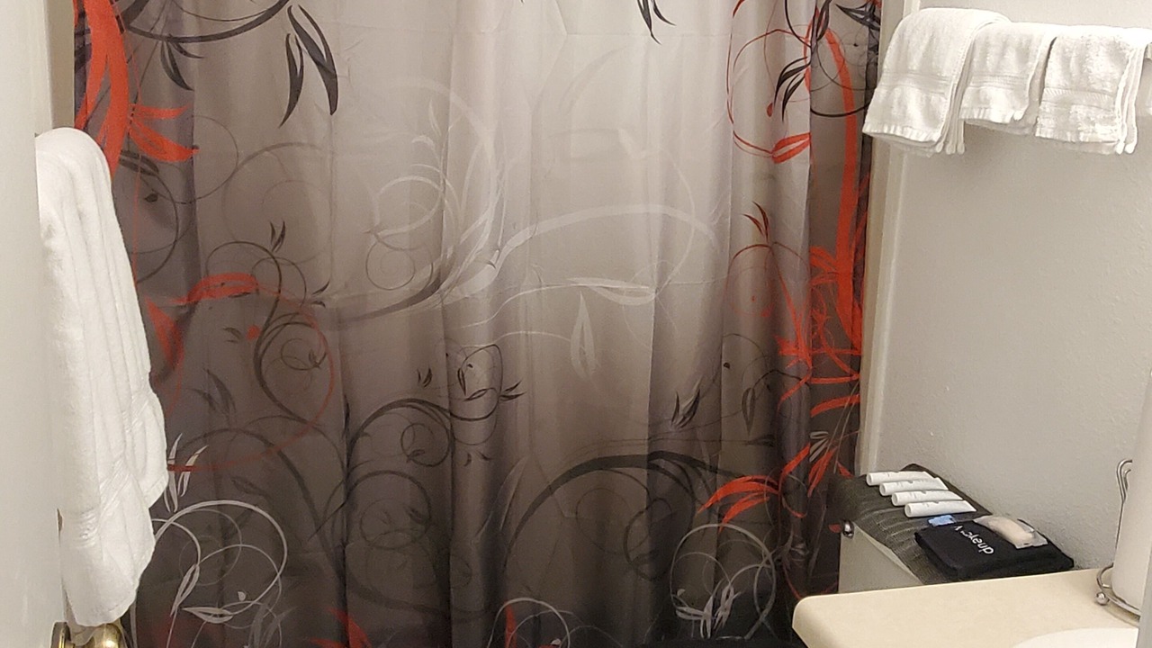 Photo of Bathroom in Converse