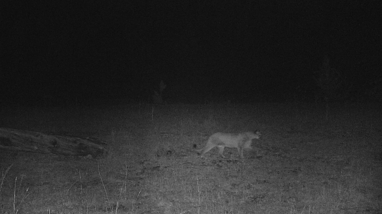 Photo of Others in Judith Basin County