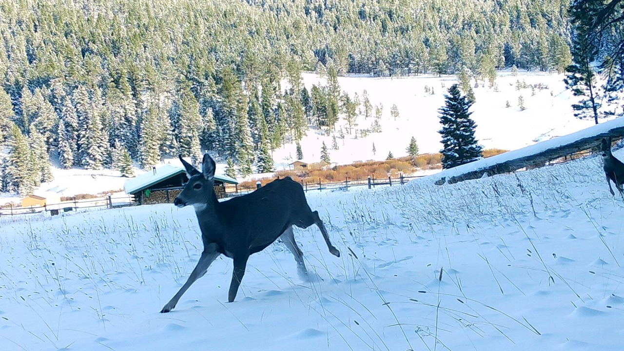 Photo of Others in Judith Basin County