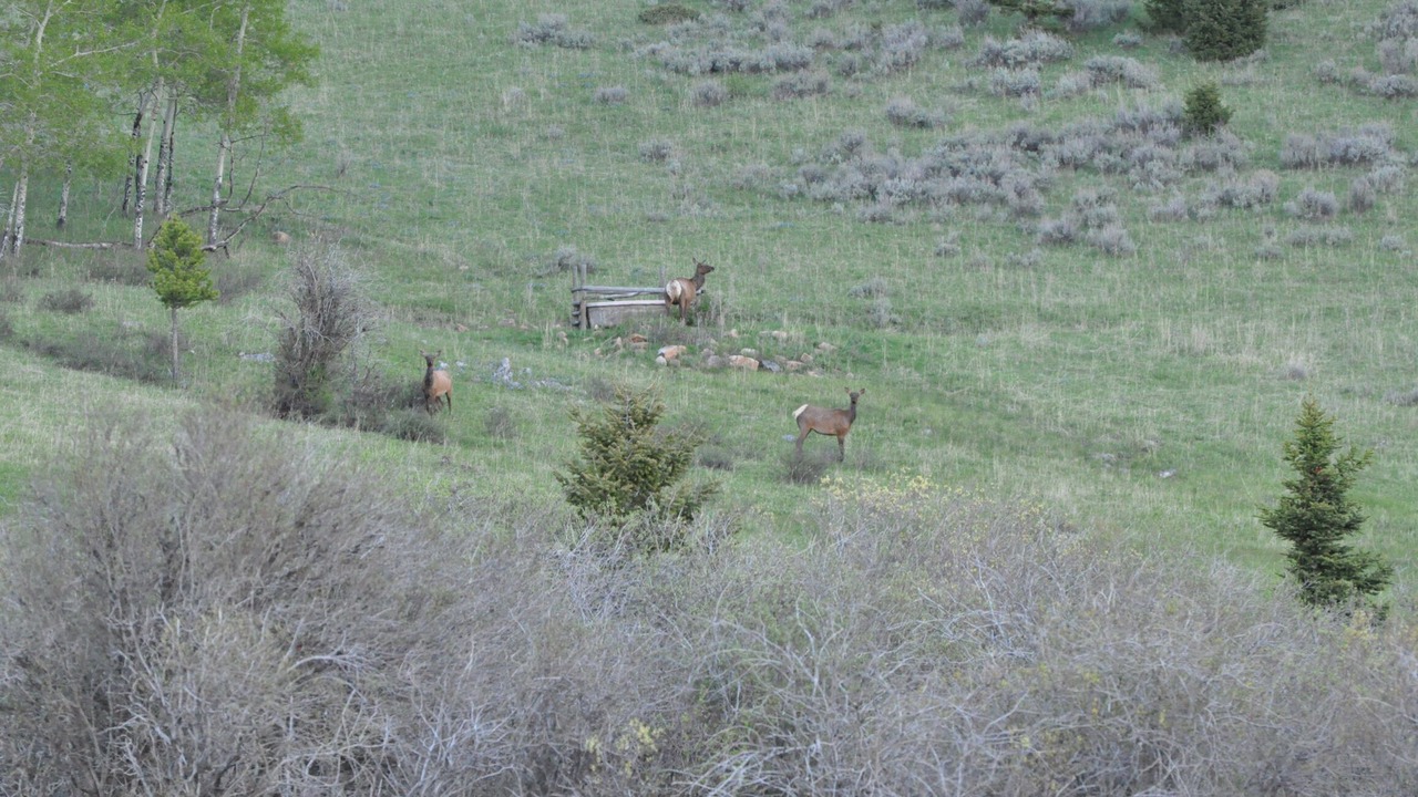 Photo of Outdoor in Judith Basin County
