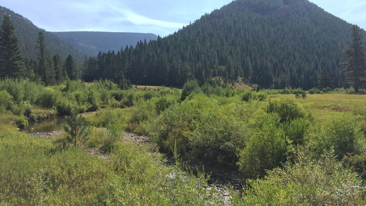 Photo of Others in Judith Basin County