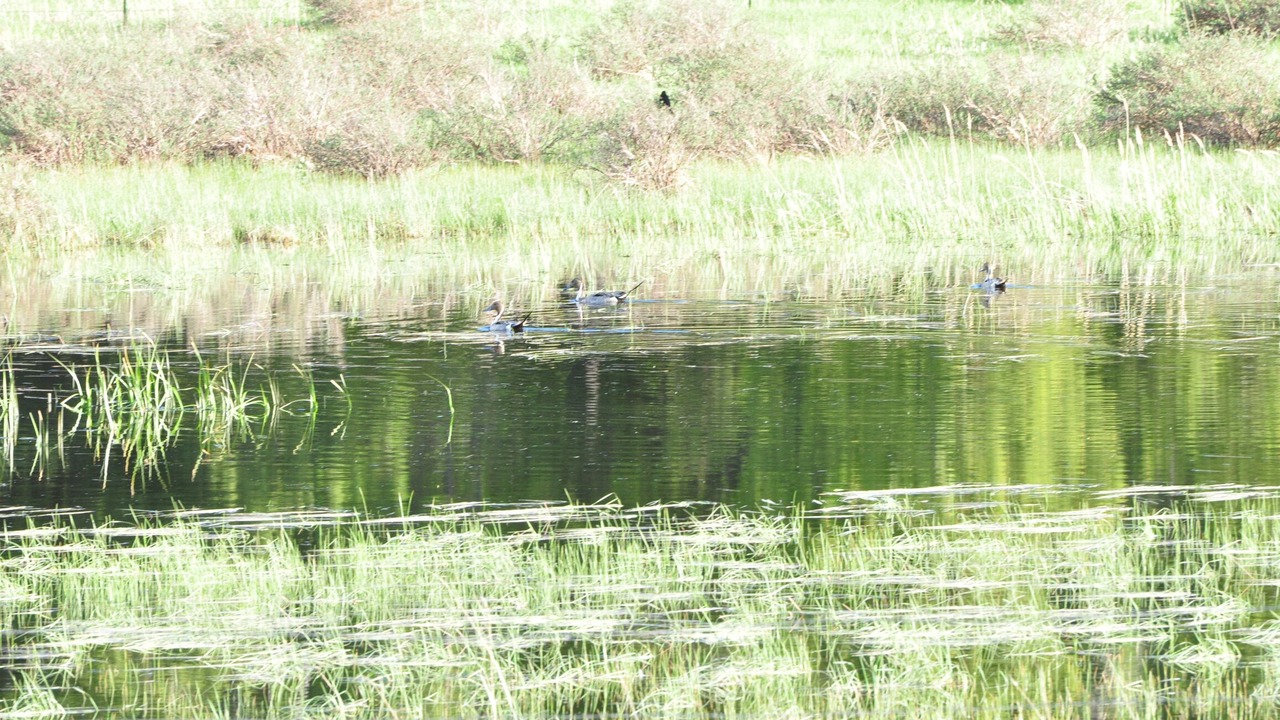 Photo of Outdoor in Judith Basin County