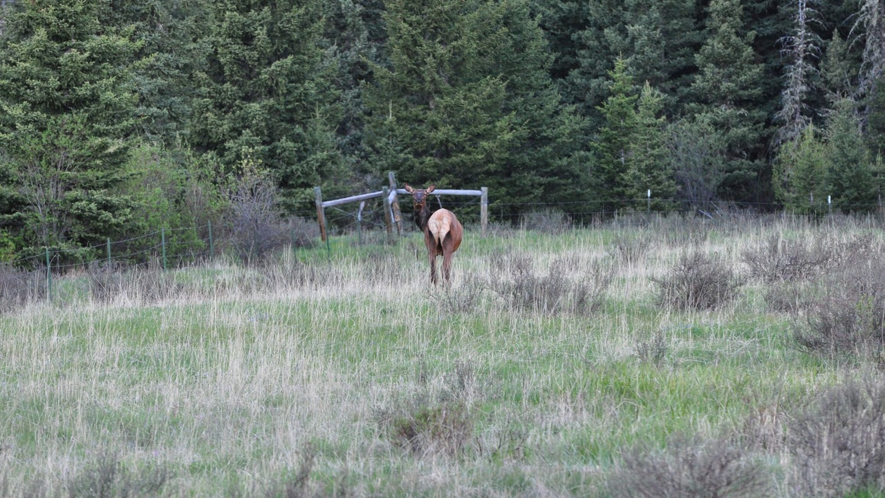 Photo of Others in Judith Basin County