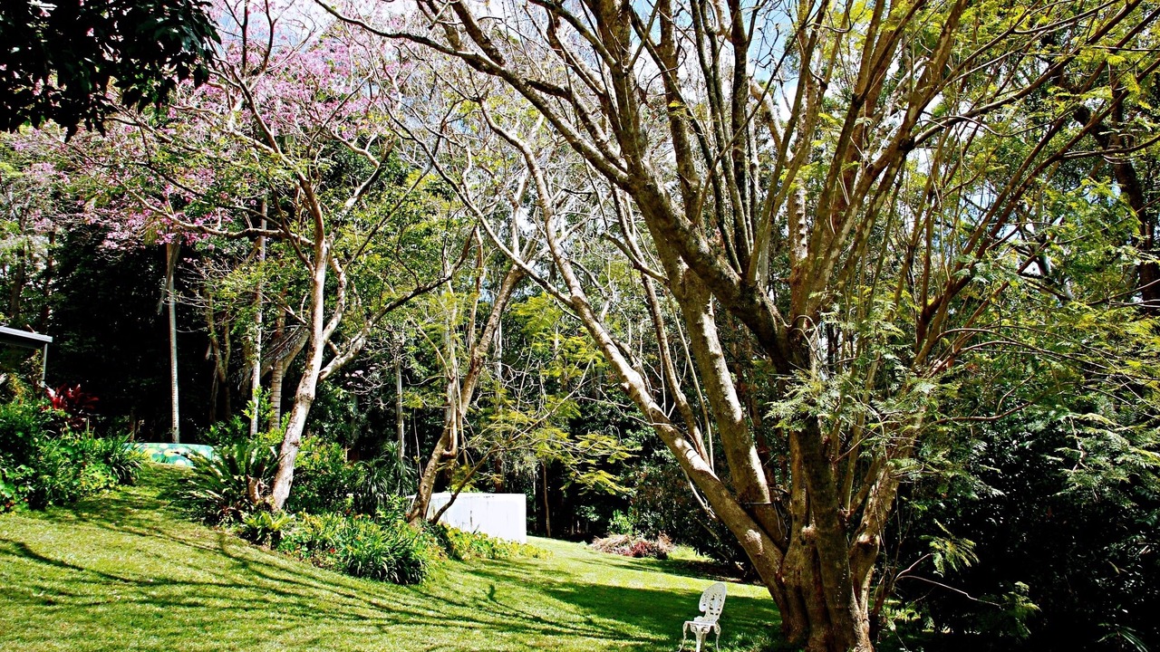 Photo of Outdoor in Maleny