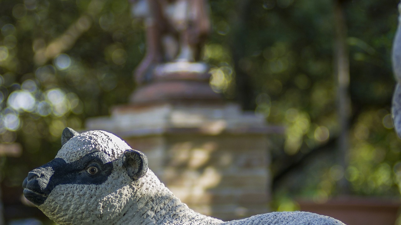 Photo of Outdoor in Grignan