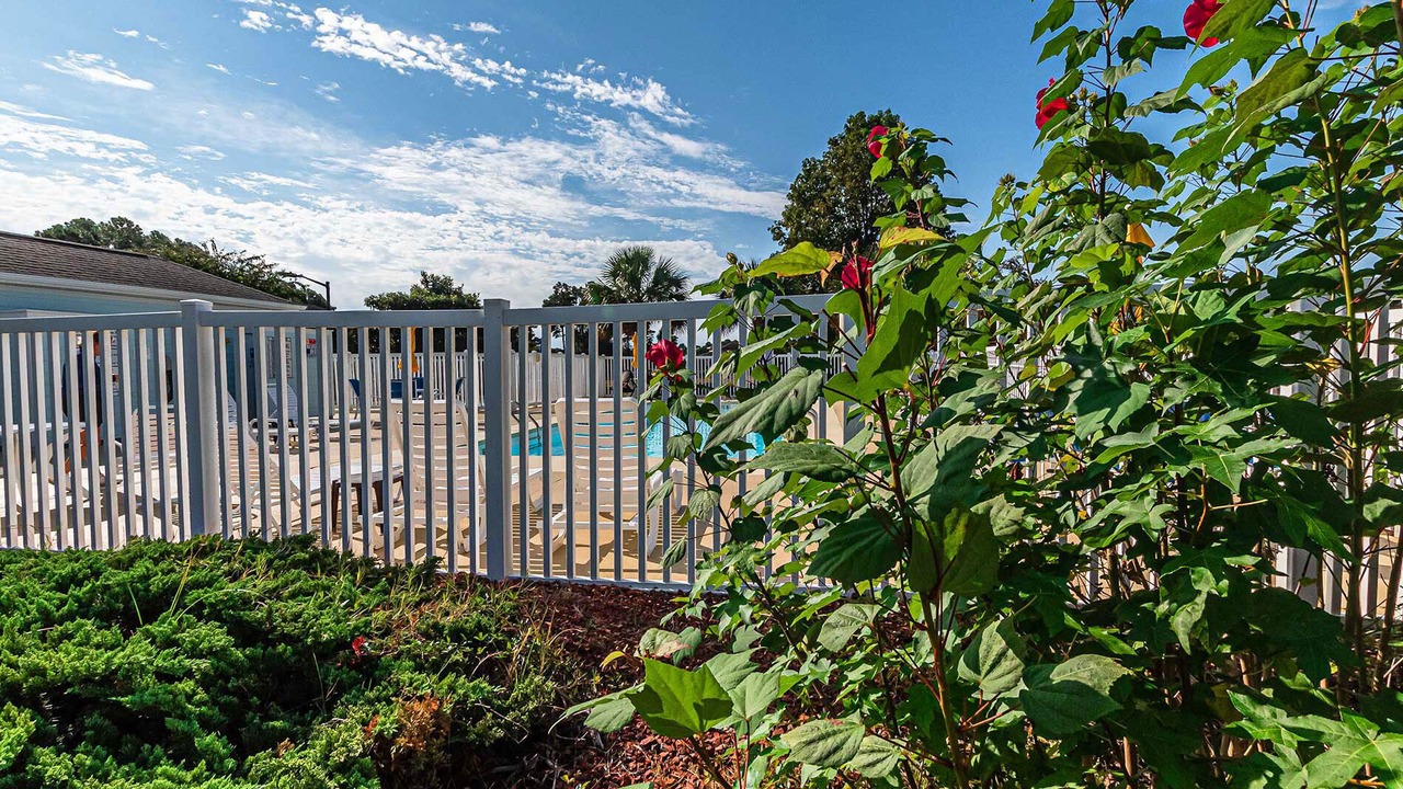 Photo of Outdoor in Sea Trail