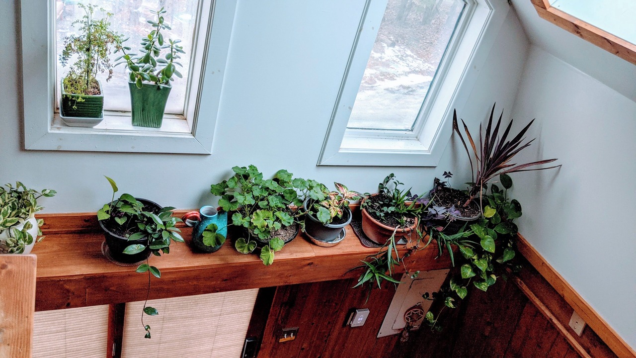 Photo of Others in Palenville