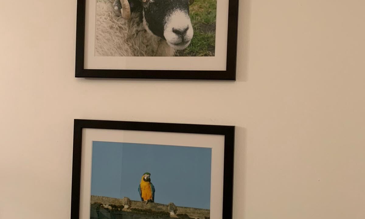 Photo of Others in Kirkby Stephen