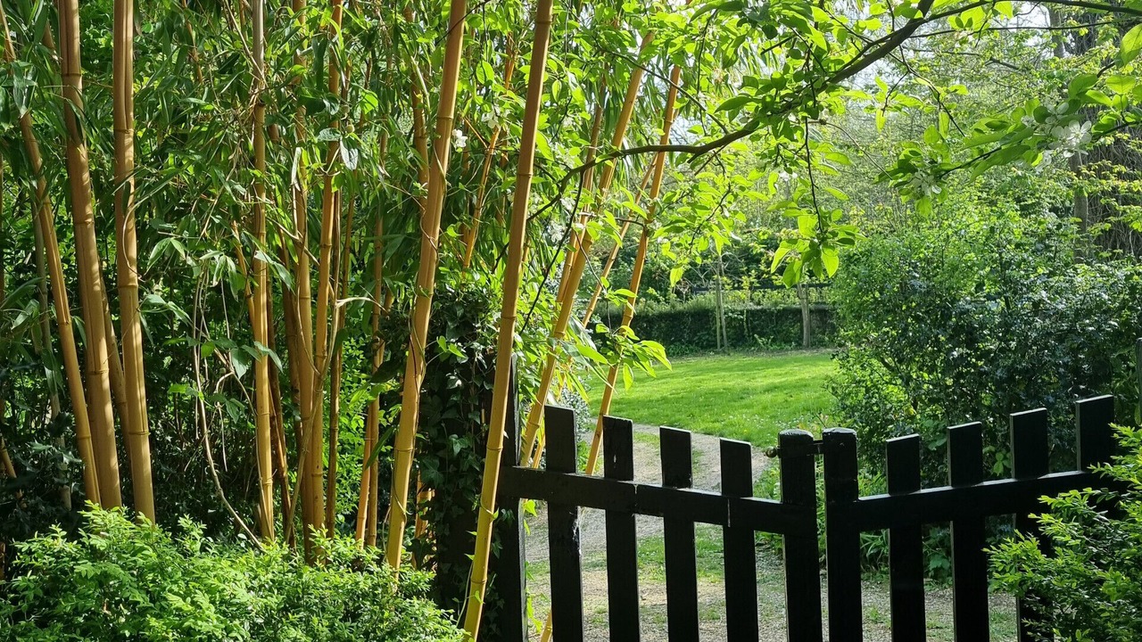 Photo of Outdoor in Sainte-Marguerite-sur-Mer