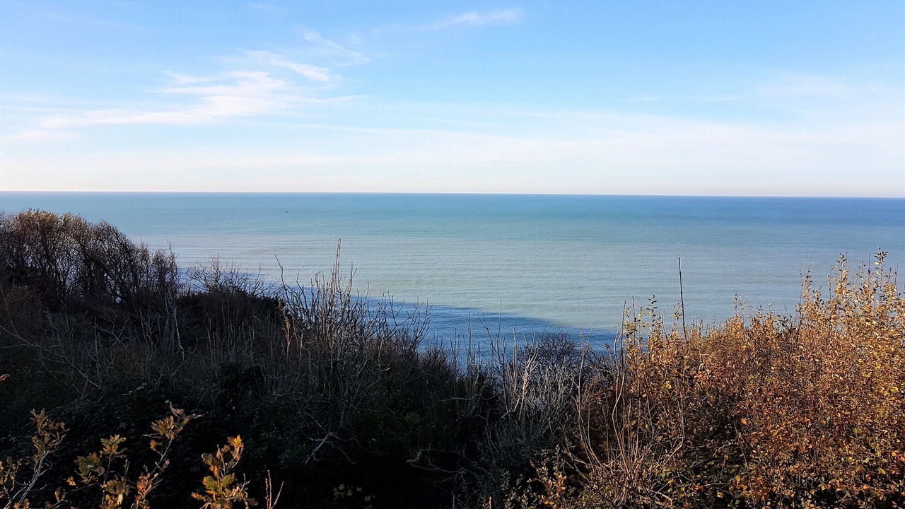 Photo of Others in Sainte-Marguerite-sur-Mer