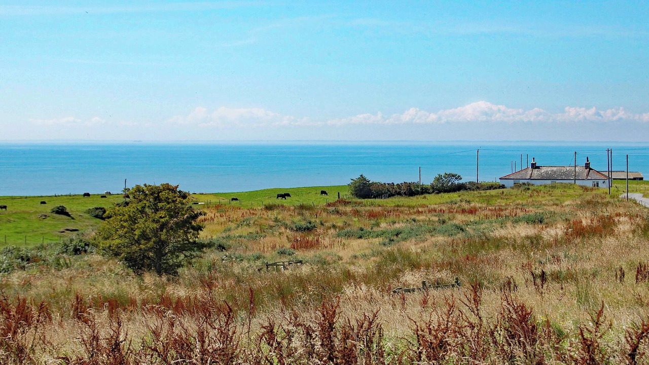 Photo of Others in Stranraer