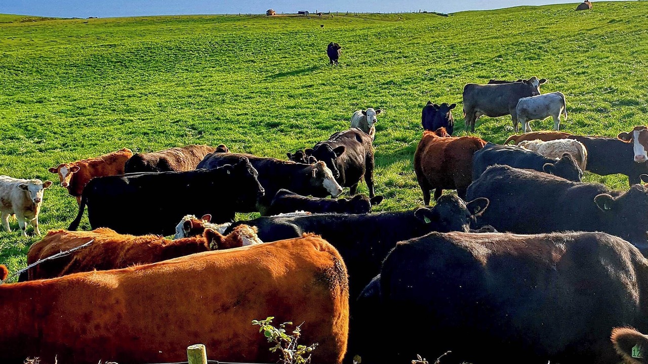 Photo of Others in Stranraer