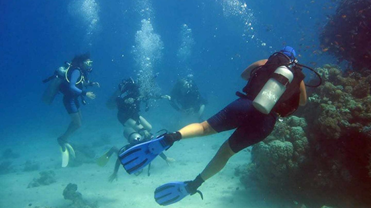 Photo of Others in L'Albufereta