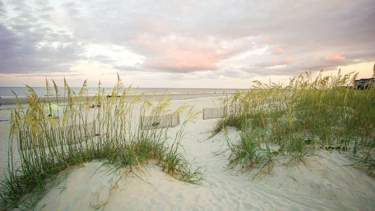 Photo of Others in Palmetto Dunes