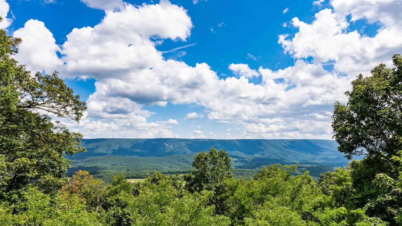 Photo of Others in Great Cacapon