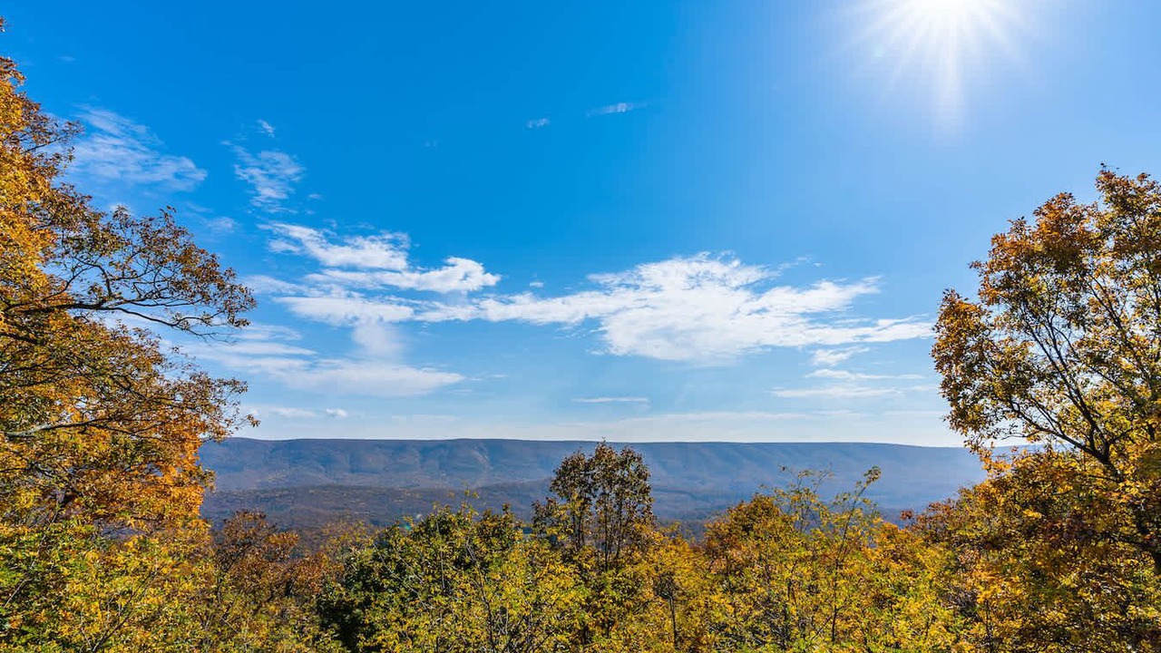 Photo of Others in Great Cacapon