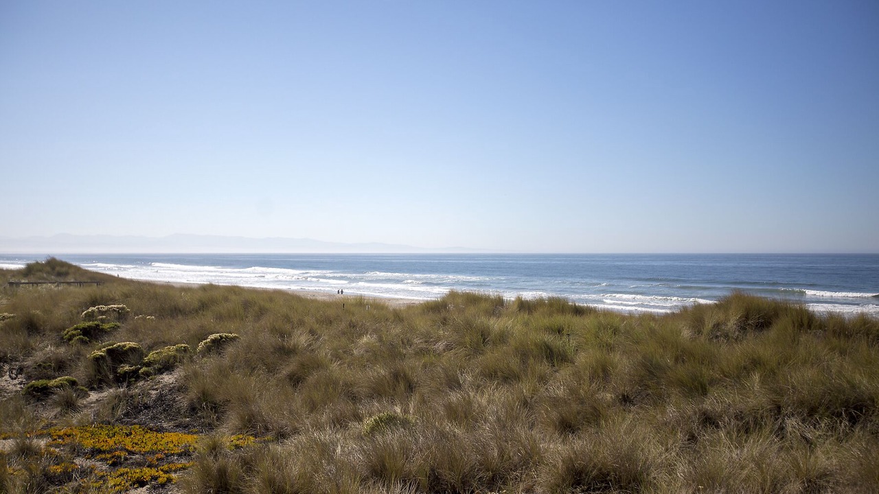 Photo of Others in Pajaro Dunes