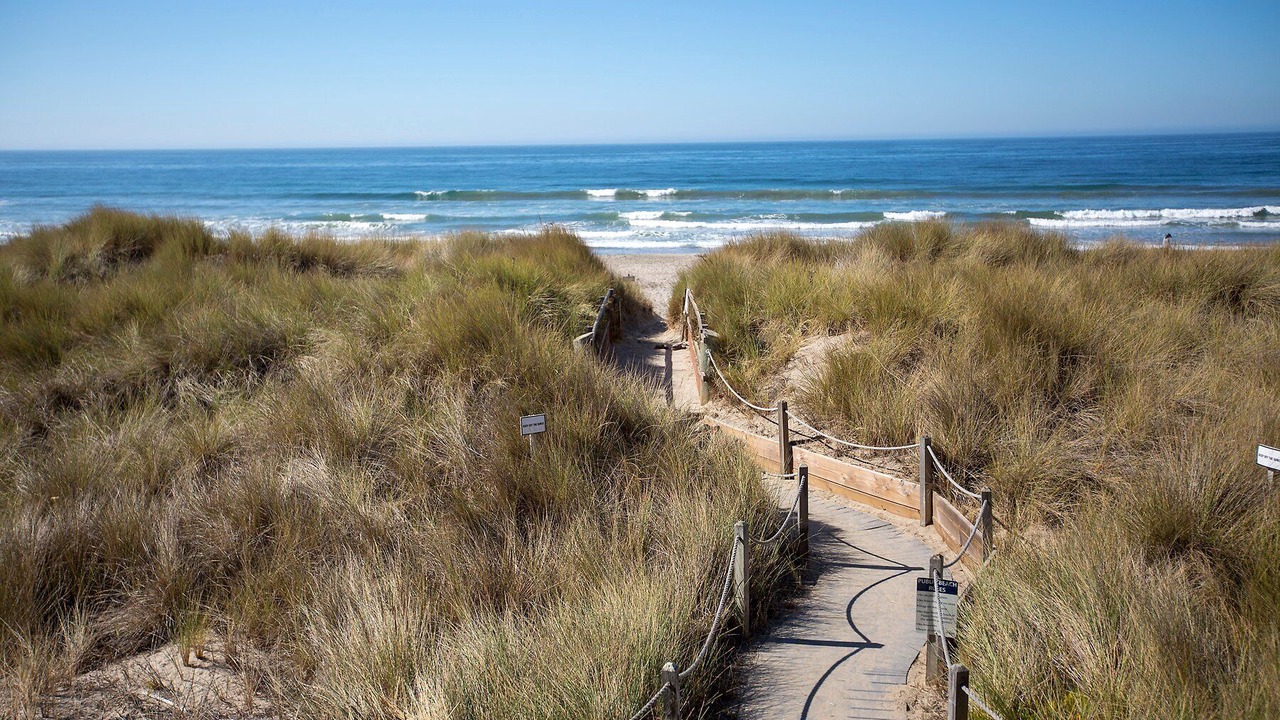 Photo of Others in Pajaro Dunes