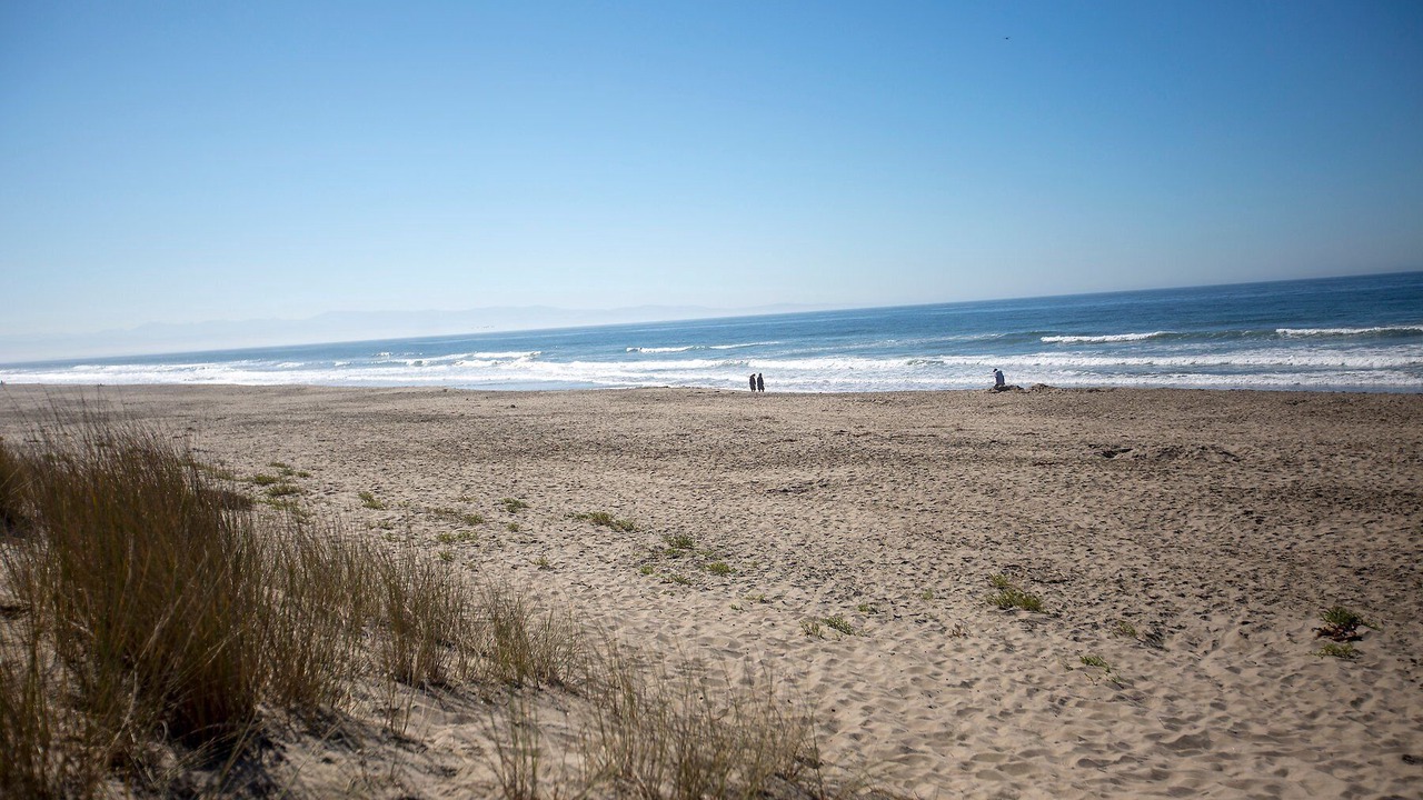Photo of Others in Pajaro Dunes