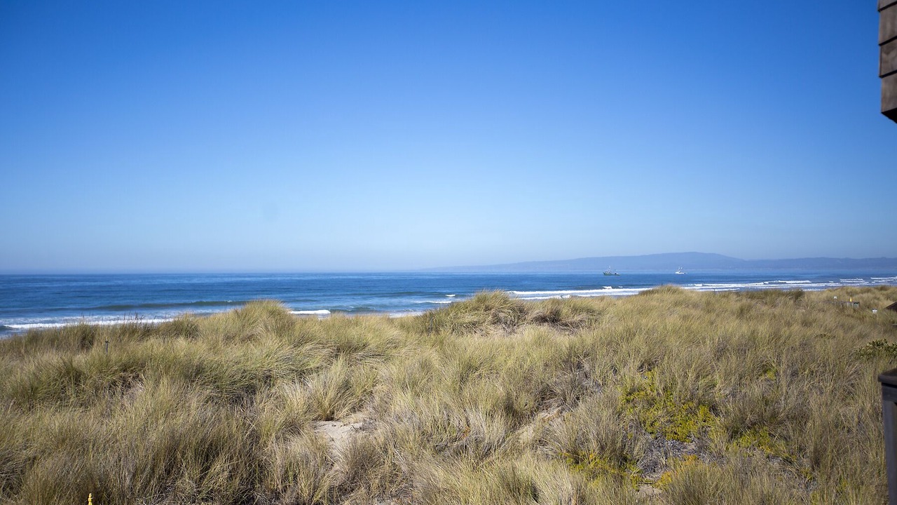 Photo of Others in Pajaro Dunes
