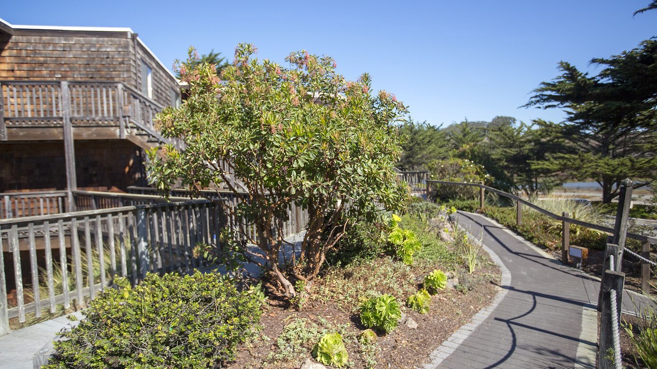 Photo of Outdoor in Pajaro Dunes
