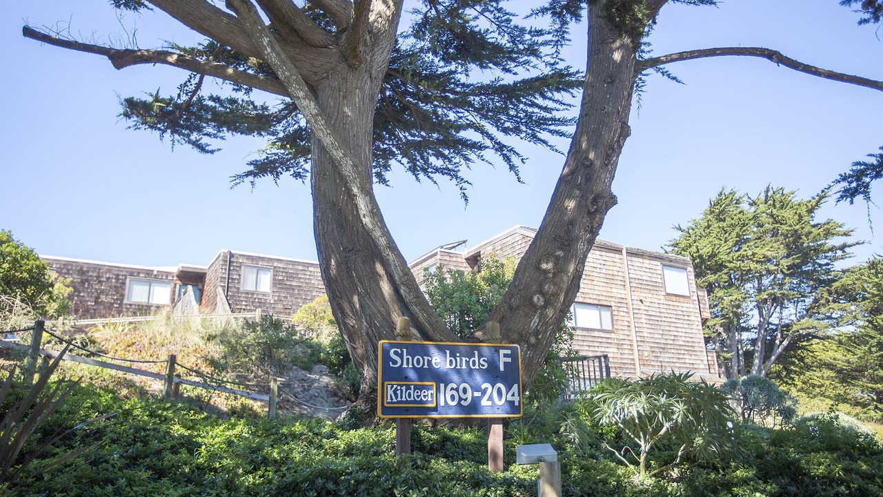 Photo of Outdoor in Pajaro Dunes