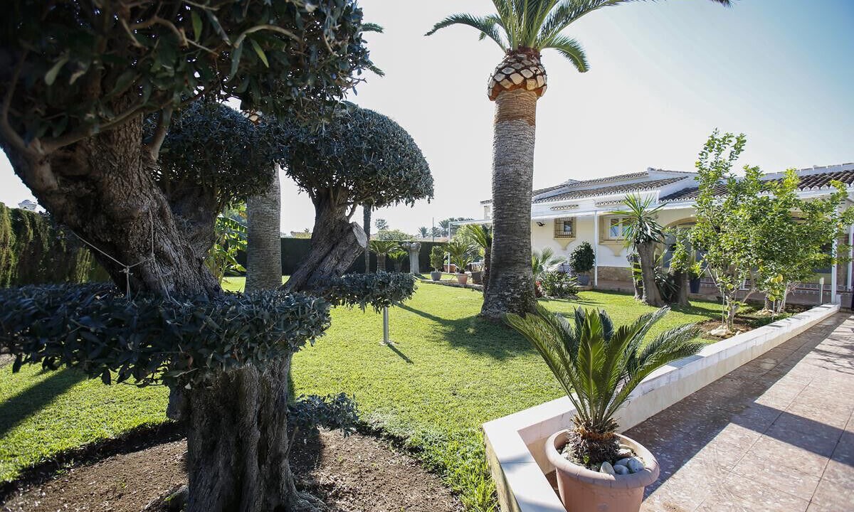 Photo of Outdoor in Els Poblets