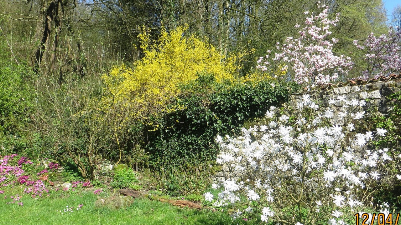 Photo of Outdoor in Beausite