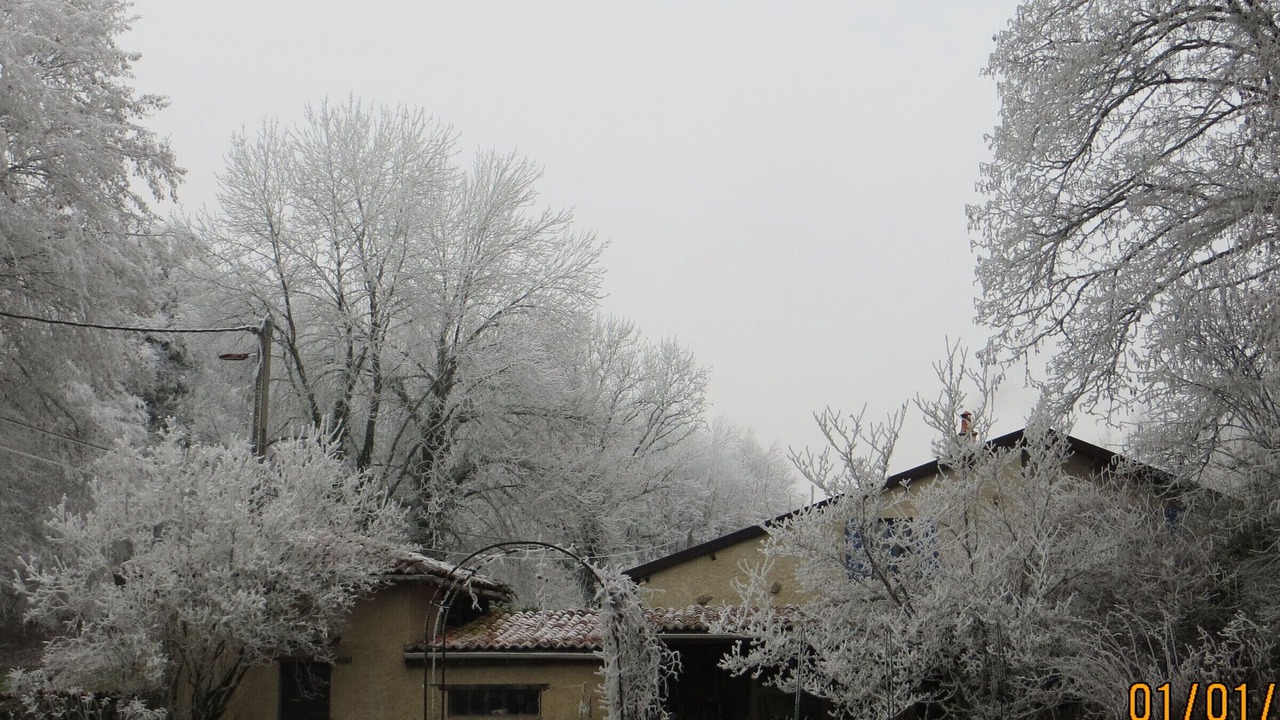 Photo of Outdoor in Beausite