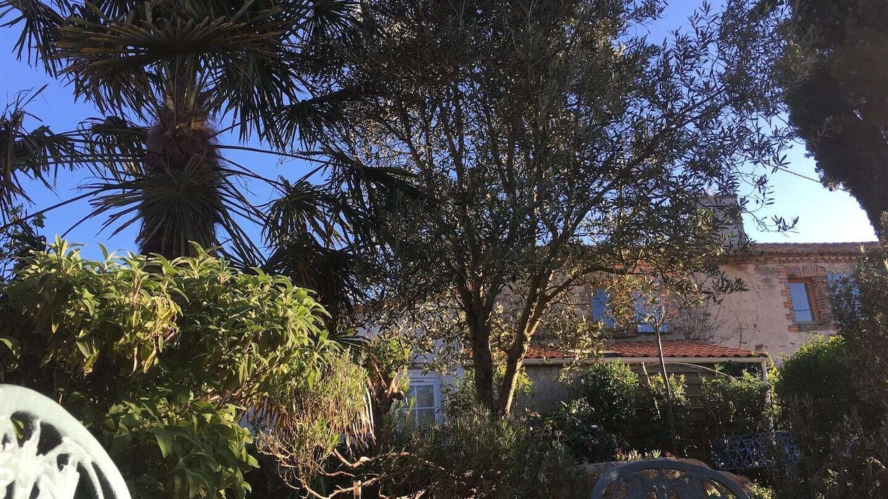 Photo of Outdoor in Brem Sur Mer