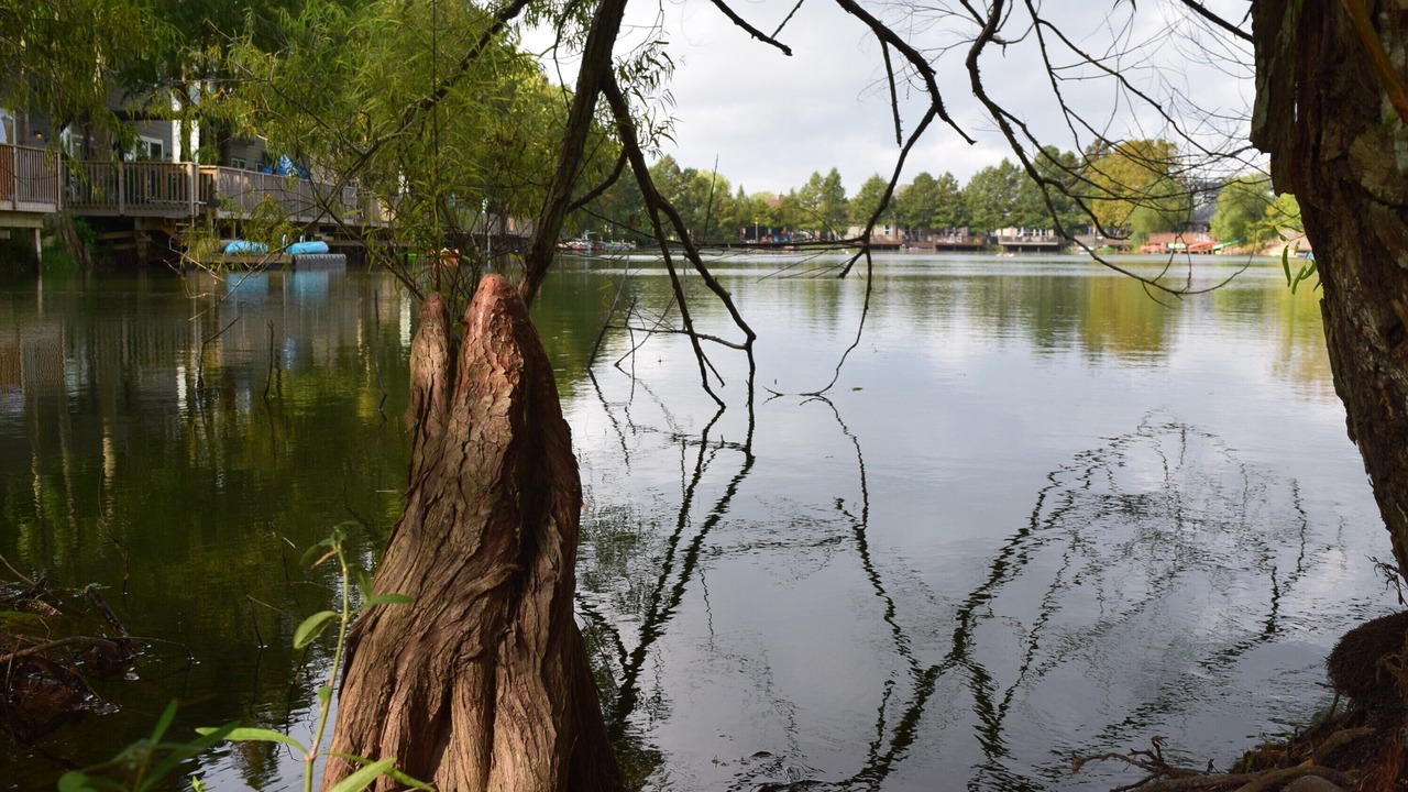 Photo of Others in Clear Lake Shores