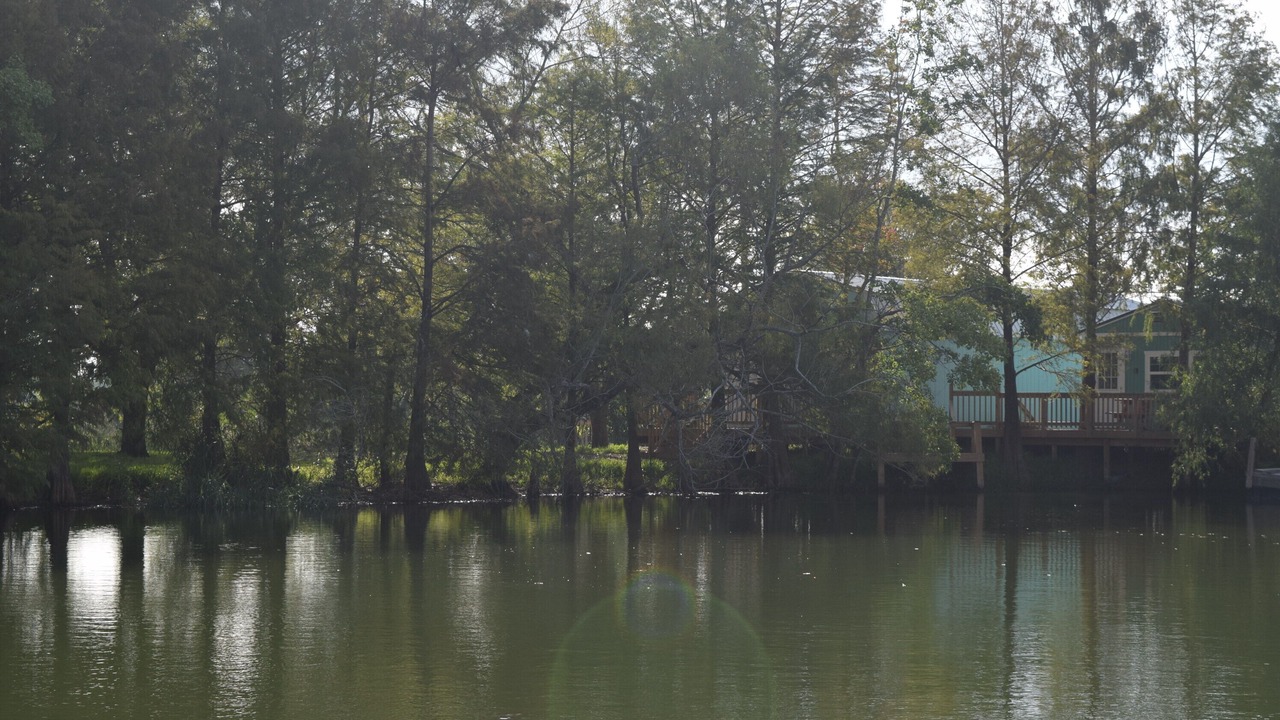 Photo of Others in Clear Lake Shores
