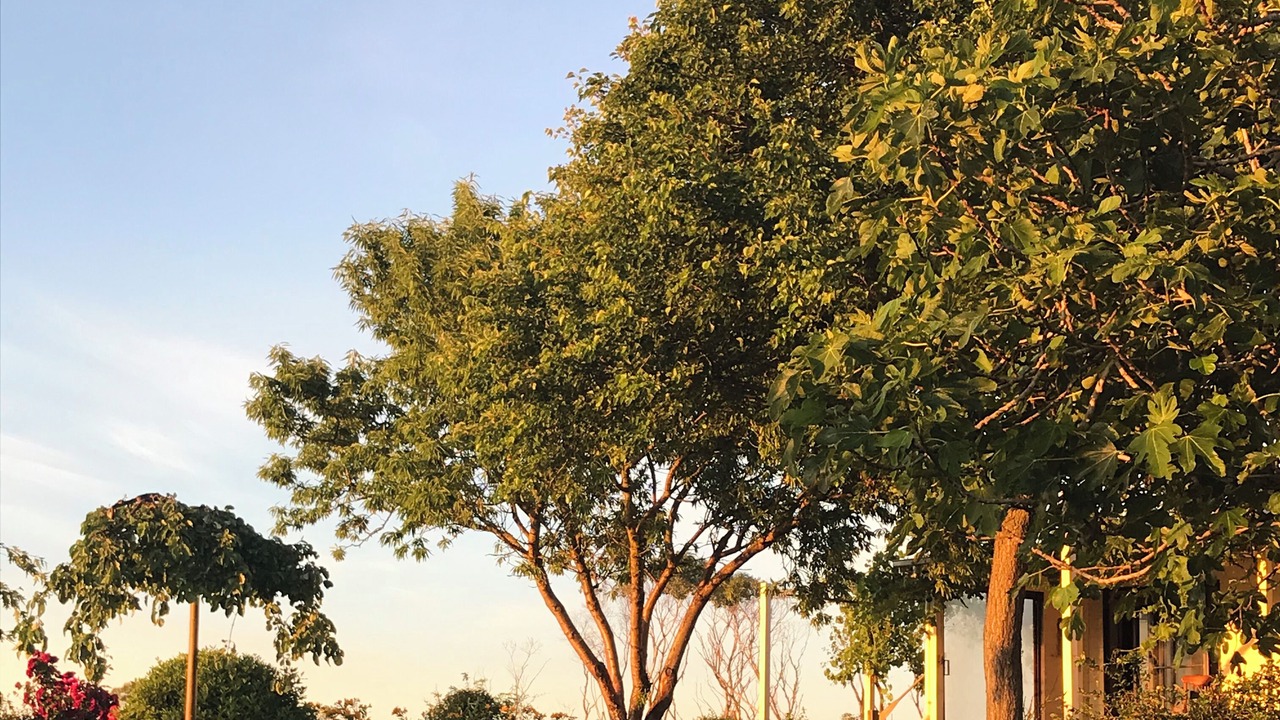 Photo of Outdoor in Princetown